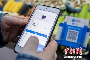 我也是花手机在线观看,解锁青春记忆  第3张