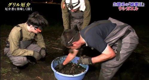 牛哥爆料大全视频,揭秘热门事件幕后真相 第1张 牛哥爆料大全视频,揭秘热门事件幕后真相 第1张